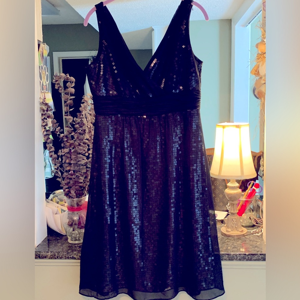 Ann Taylor size 6 sequined cocktail dress BEAUTIFUL! Excellent condition.